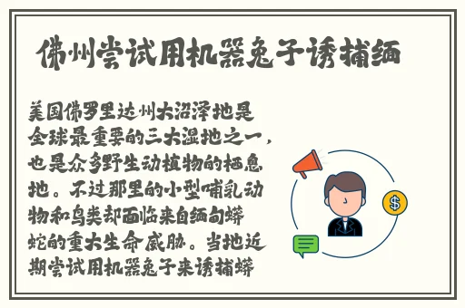 yw193换哪个网名了